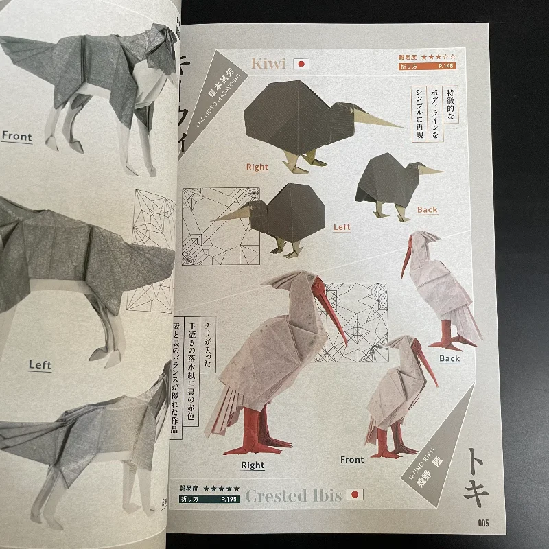 256pc Japanese Edition, Shin Yamaguchi Origami Book: Fun Double-Sided Origami, Origami Inside Out Premium Book