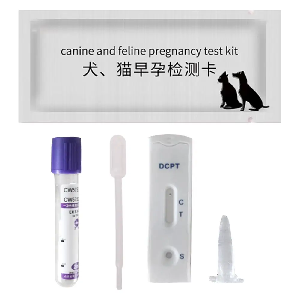 Kit de test de grossesse pour chiens à domicile, sérum de test rapide de 15 minutes ou test de sang 