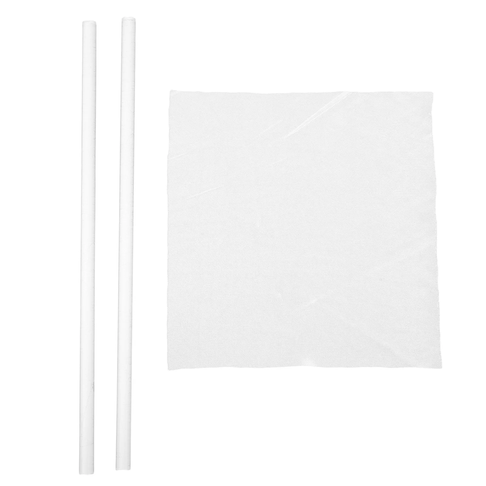 

1 Set Static Electricity Experiment Kit Silk Covered Glass Rod Electrostatic Friction Equipment Physics Teaching Tool for Junior