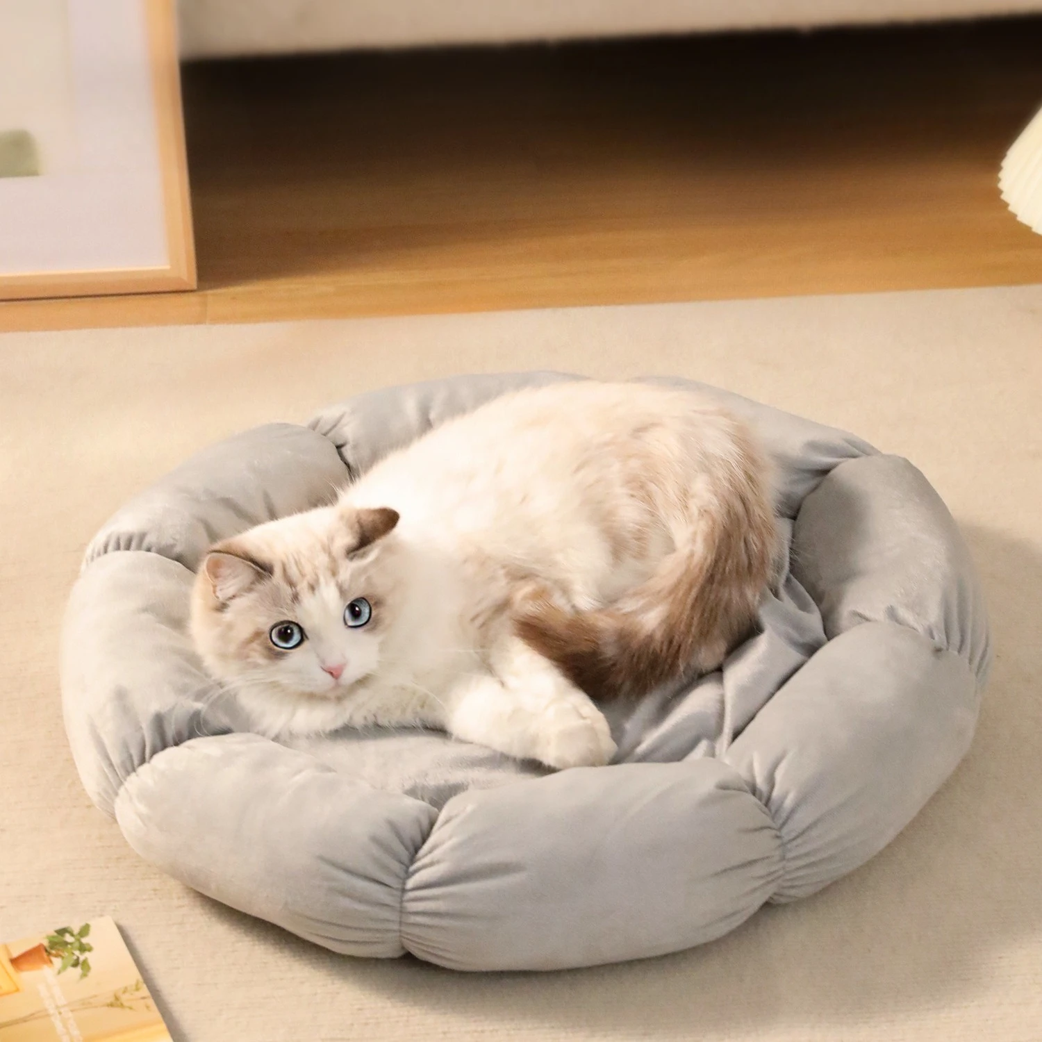 

AliExpress Cloud Like Wrap Around Pet Cat and Dog Bed 40cm X 40cm Color Pink Green and Gray Pet Daily Sleeping Nest