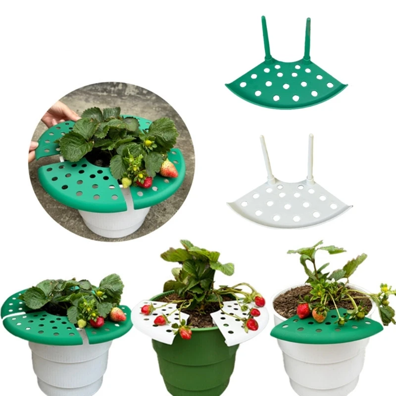 Rastrello per giardinaggio verticale per fragole design salva