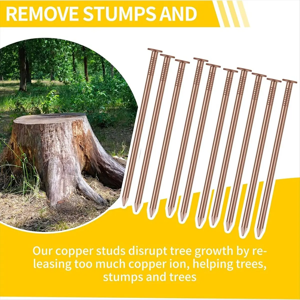 Top Sale Copper Nails Kit, 3.5 Inch Stump Removal Spikes,Pure Copper Nails, Stump Removal Tool for Trees Stumps Landscaping