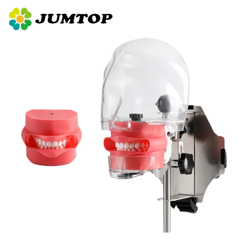 

JUMTOP Dental Simulator Phantom Head Dentistry Chair Strap Type Simulation Head Model with 28Pcs Teeth for Dentist Teaching Prac