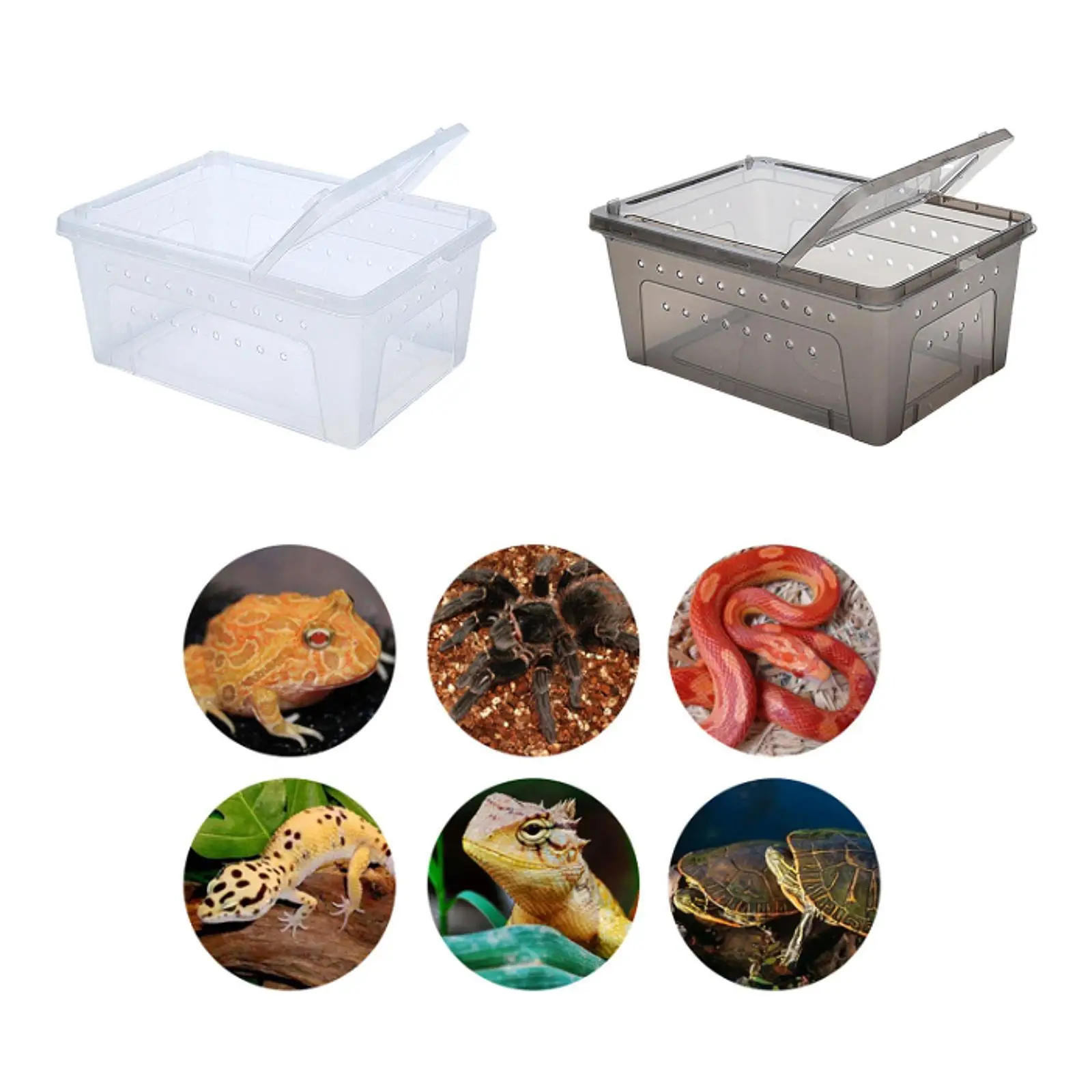 Travel Reptile Breeding Box Clear Plastic Enclosure with Small Vents for Turtle Aquarium and Lizard