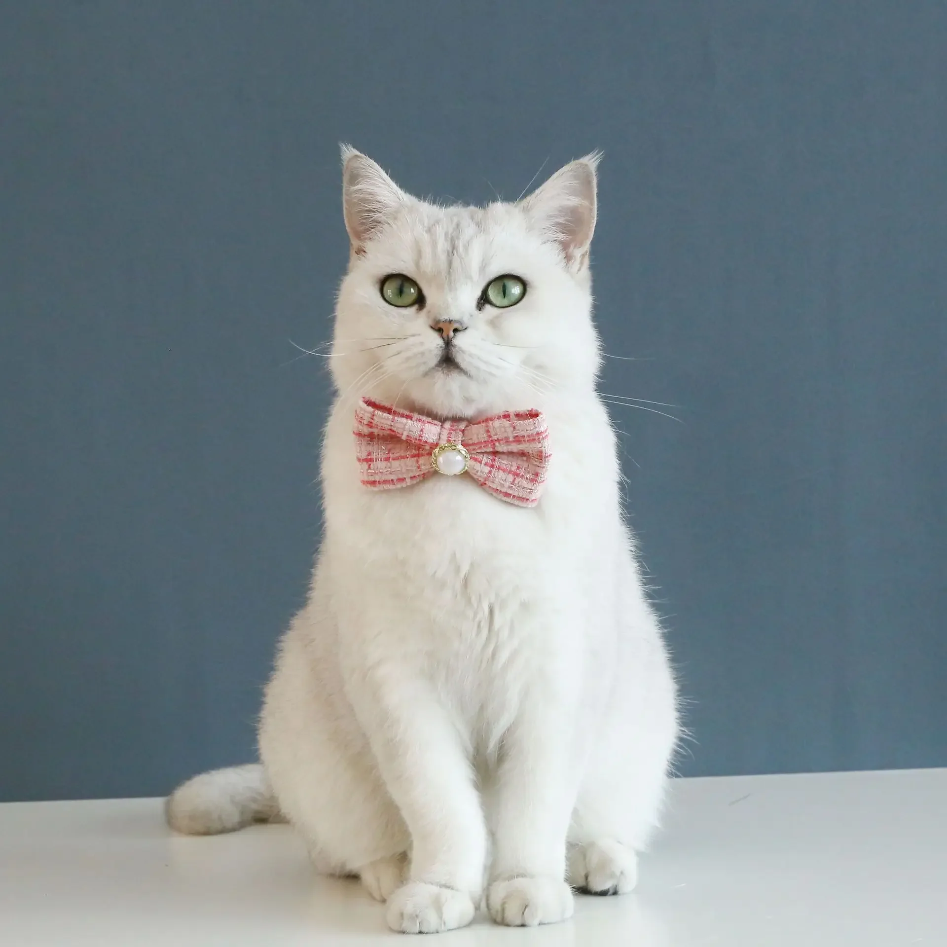 Pet woven plaid collar Cat pearl bow collar Cat adjustable birthday bow tie Pet supplies