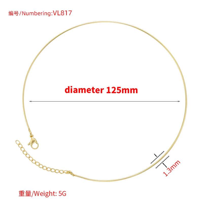Edelstahl Feiner Runder Choker mit Karabinerverschluss, Verstellbar, Hypoallergen, Verblassungsbeständig, Schmuckherstellungszubehör: VL817 – Detail 3