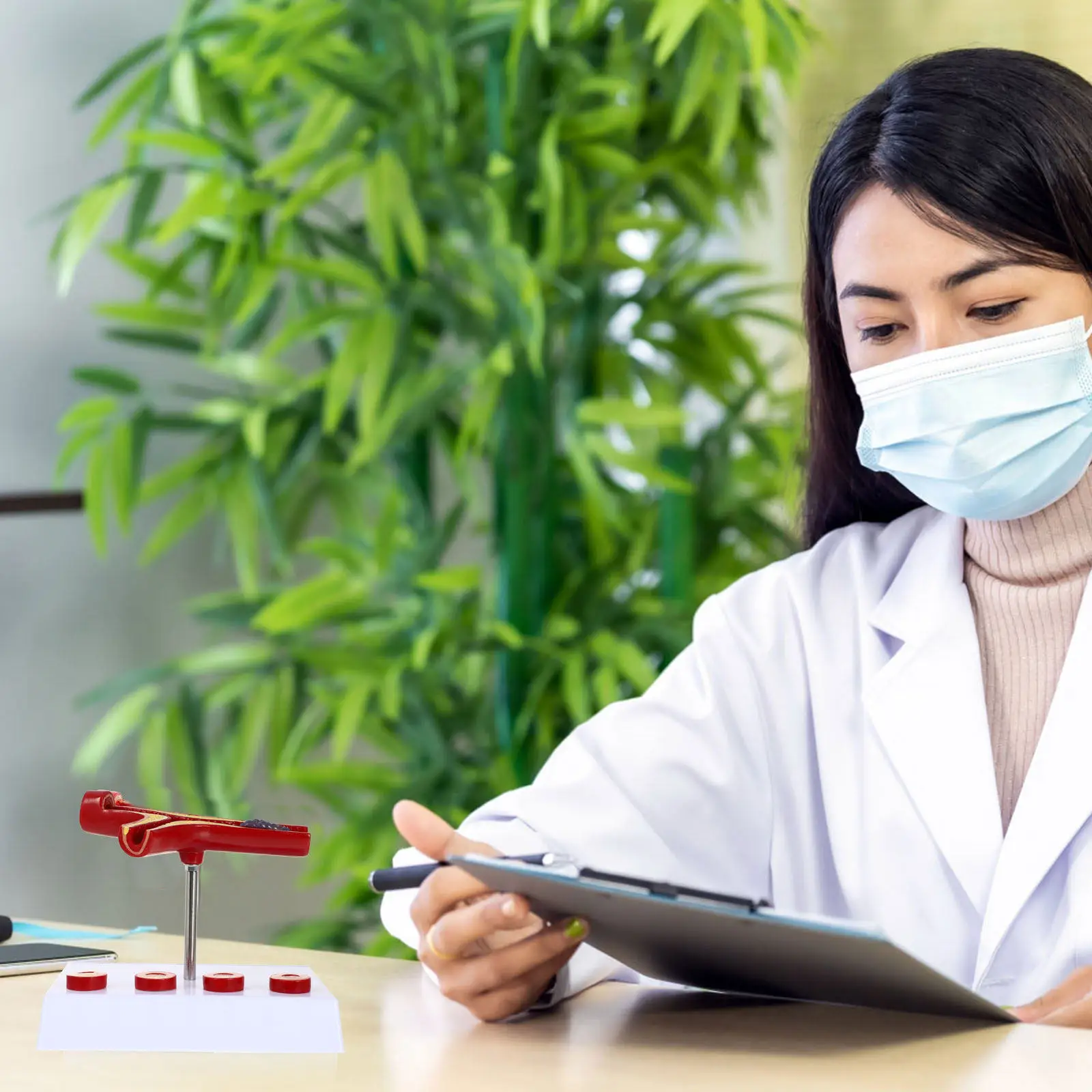 

Учебный анатомический макет кровеносных сосудов человека с атеросклерозом для изучения сердечно-сосудистых заболеваний, для средних и высших учебных заведений и медицинских училищ