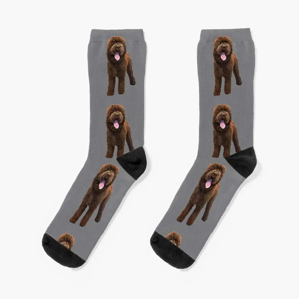 Labradoodle Chocolate Brown Socks cartoon cool funny gift heated Woman Socks Men's