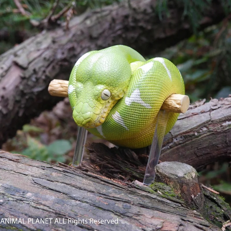 

Животное Планета Сердце Широкое Тело Жирная Серия No 9. Змея на гусеничном ходу, модель животного, украшение, украшения ручной работы, модель, подарок