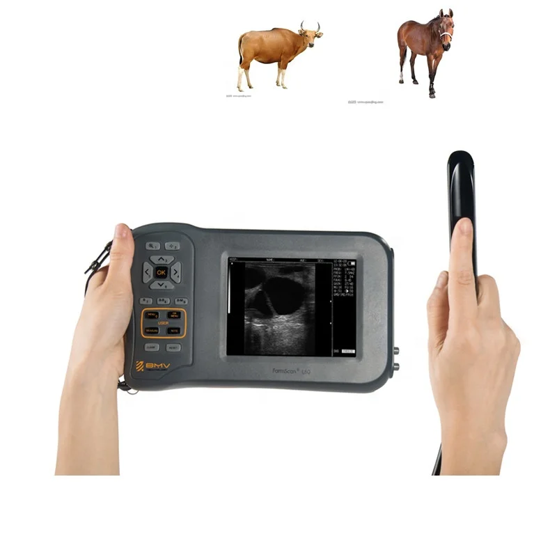 Farm veterinarian Scanner L60 Cattle Pig Sheep  veterinary ultrasound machine