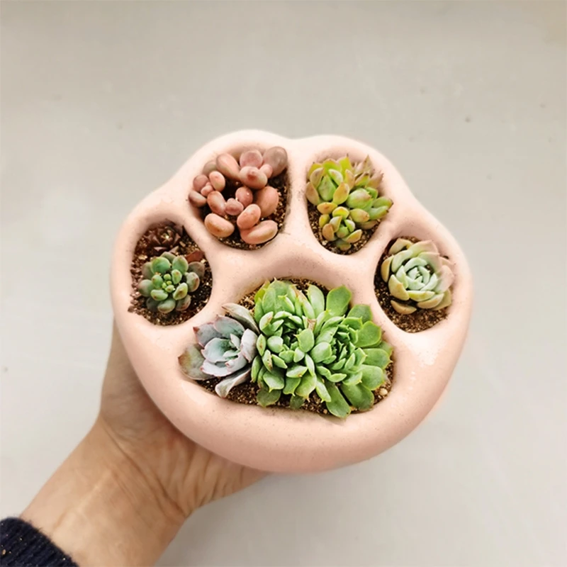 

Cat Claw Succulent Pot UV Crystal Epoxy Resin Mold Handmade Flower Pot Planter Silicone Mould DIY Clay Aroma Gypsum Mold