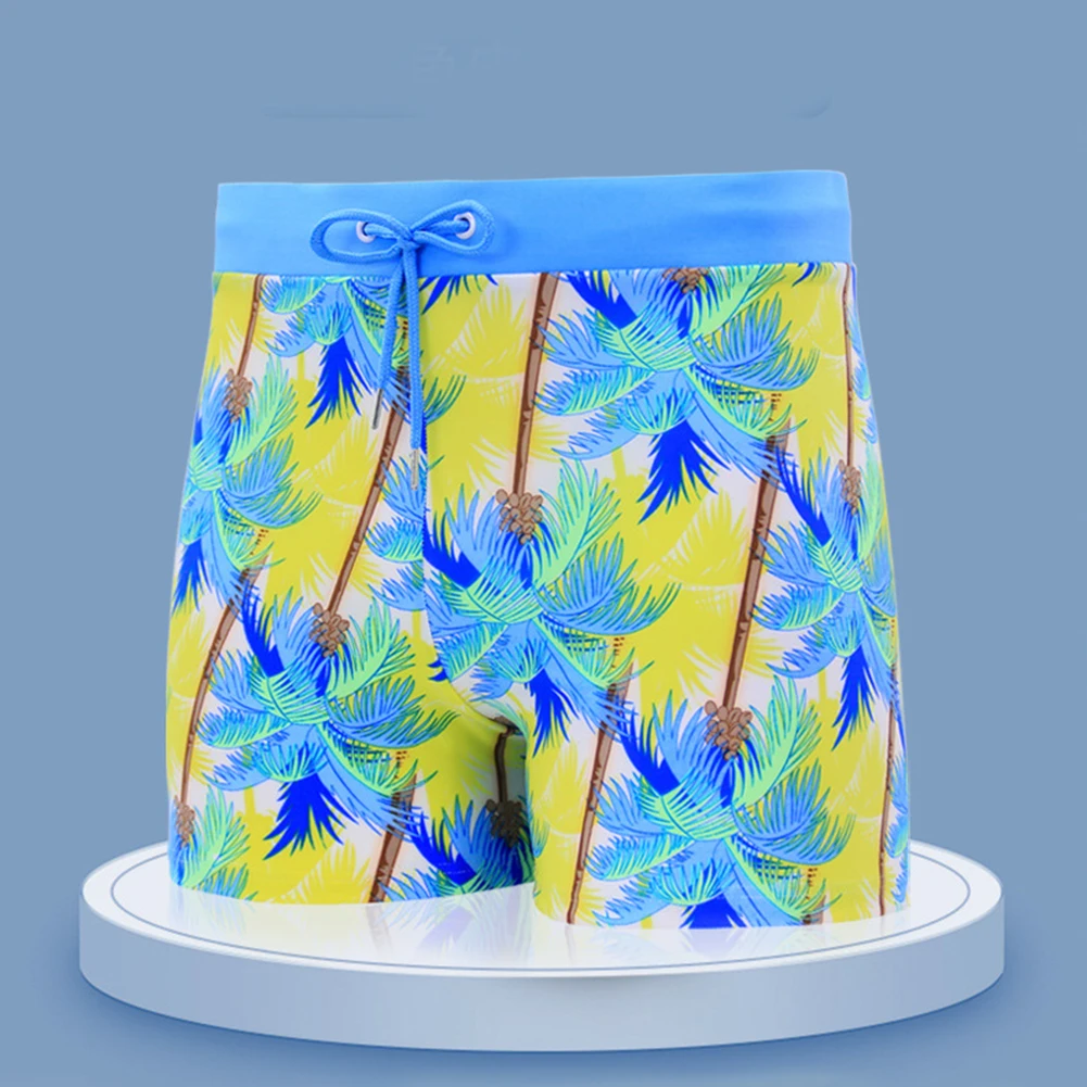 

Beach Party Summer Holiday Casual Swim Shorts Printed Trunks 10 Spandex 90 Polyester Breathable Fabric Colors Available