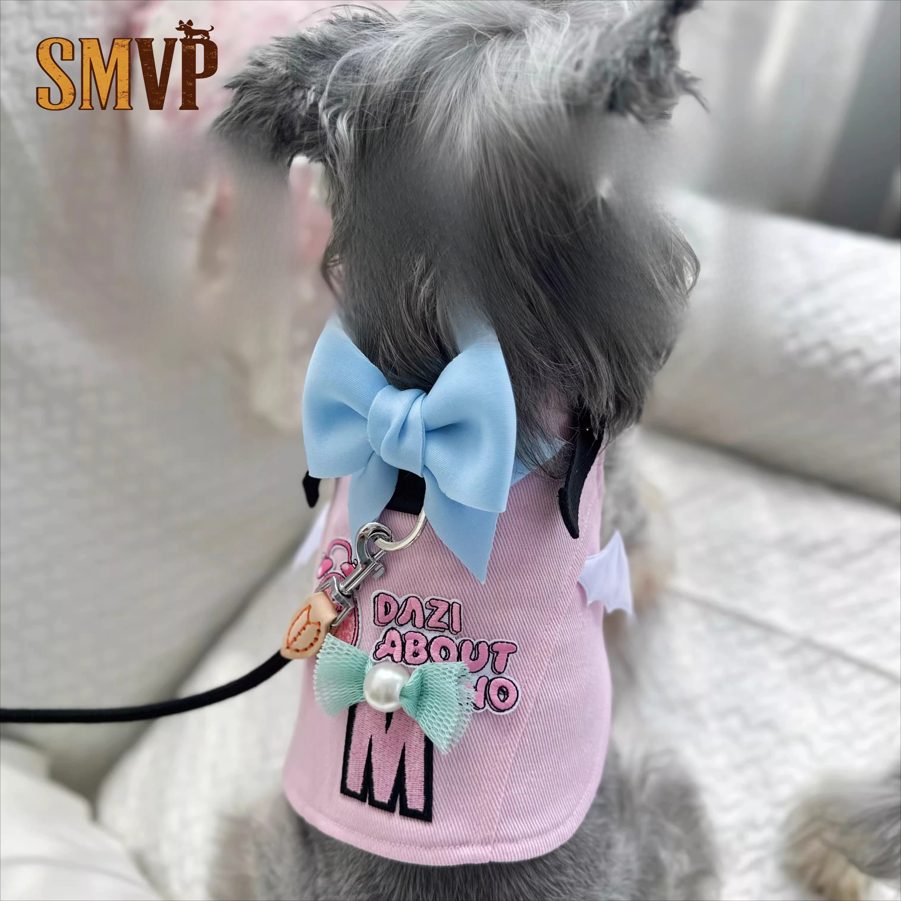 

Summer Breathable Pink Purple Bow Devil Wing Ornament Style of Young Girl Chest Back Vest Strap Pet Harness Includes Leash