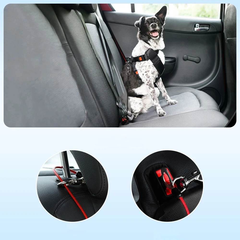 Universal Car Dog Safety Leash Pet Vehicle Anti-bite Wire Rope Dog Seat Belt for Dogs Travel Traction Collar Harness Supplies