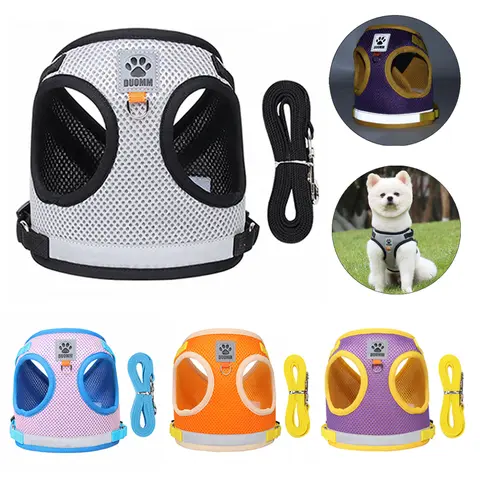 Reflective Dog Harness and Leash Set for Small and Medium Pets CDDMPET