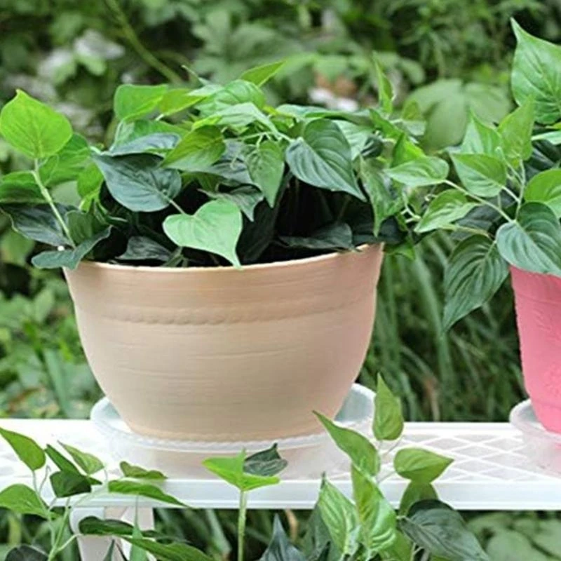 9/10,5 polegadas plástico transparente pires panela