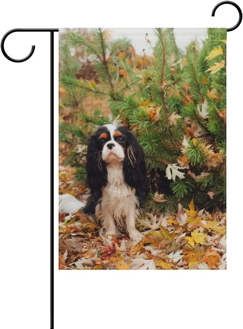 Bandera de jardín decorativa de perro, Bandera de jardín de doble cara de 12x18 pulgadas, ALAZA Cavalier King Charles Spaniel
