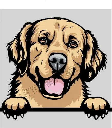 For GOLDEN RETRIEVER Peeking Dog Breed Colour Window Wall Laptop Sticker