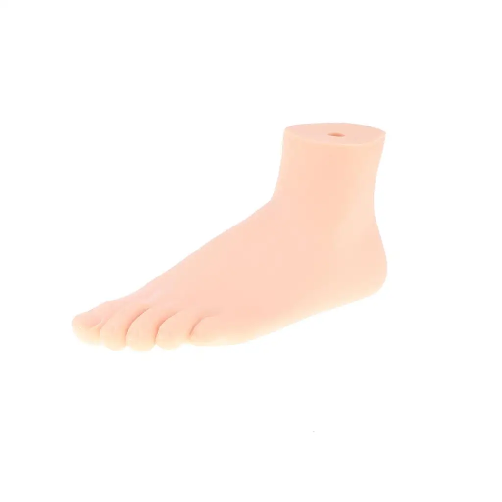 Human Normal Foot Model 1:1 Lifesize Human Foot Model with Ligaments Bones Muscles Model Kit for School Learning Tool Lab Supply