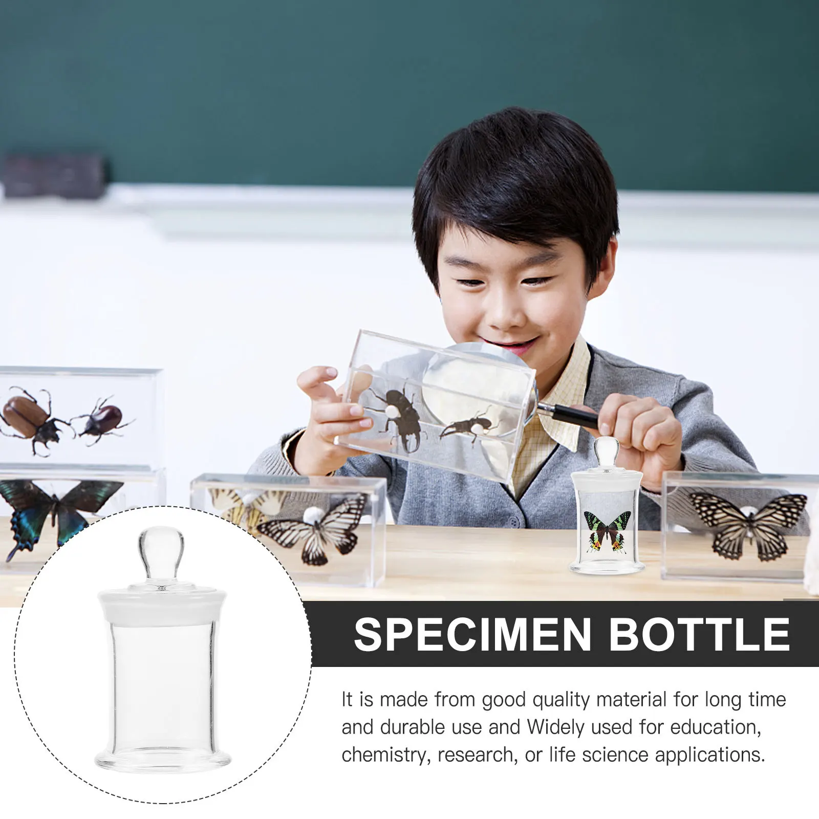 

Clear Laboratory Bottle Specimen Vial Durable Lightweight Easy Carry Stable Base Widely Used Education Research