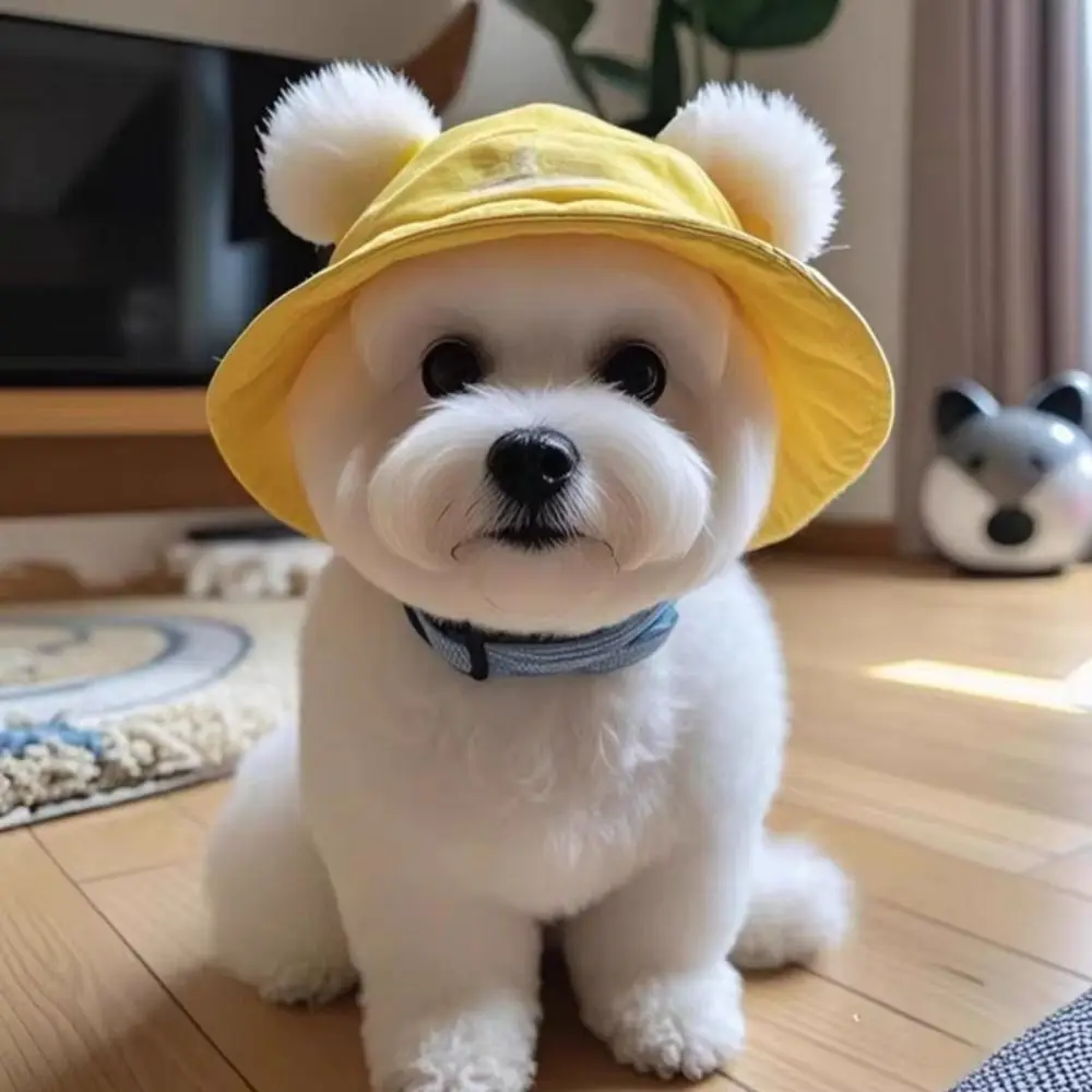 Cute Cotton Cat Sun Hat with Ear Holes S/M/L Pet Caps Outdoor Sun Protection Round Brim Cat Bucket Hat Puppy