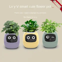 ペット用の緑の植木鉢,ツタのテーブルトップ,スマートでキュート,植物の飾り付け,感情的な新着