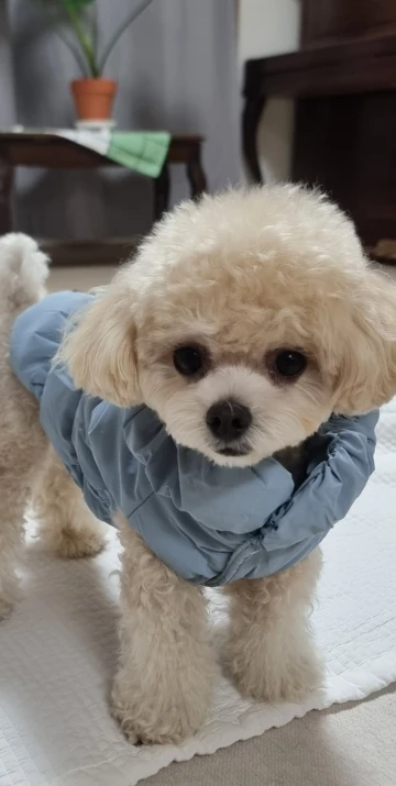 구매후기