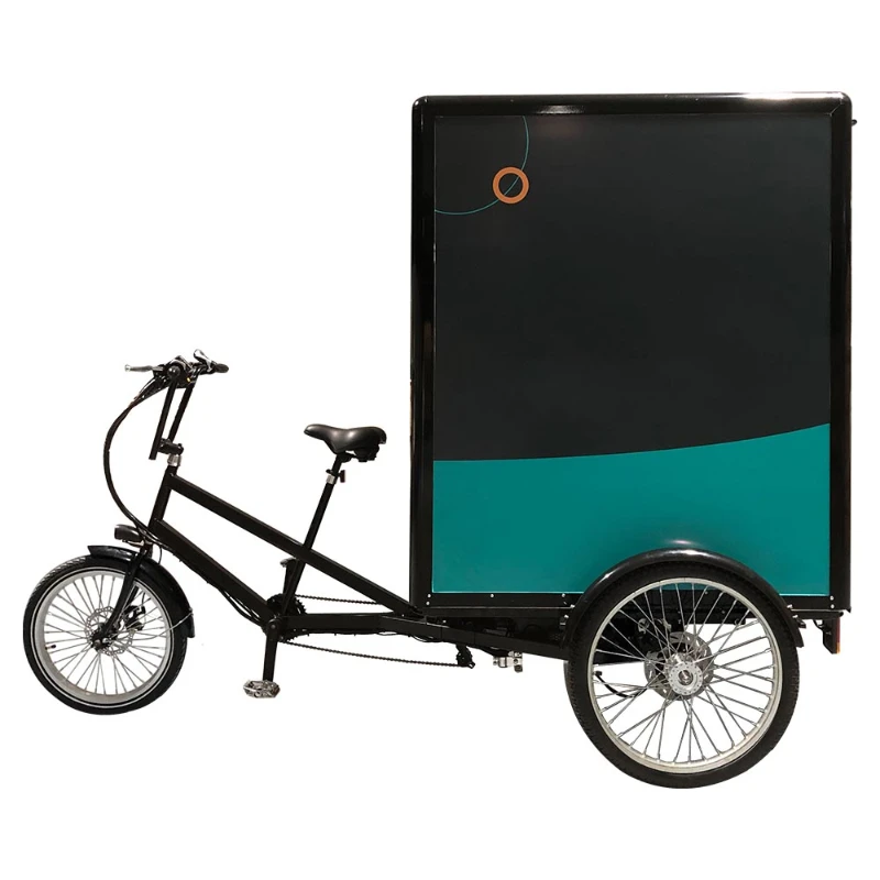 adult tricycle 360Wh green power cargo ebike 3 wheel electric trike