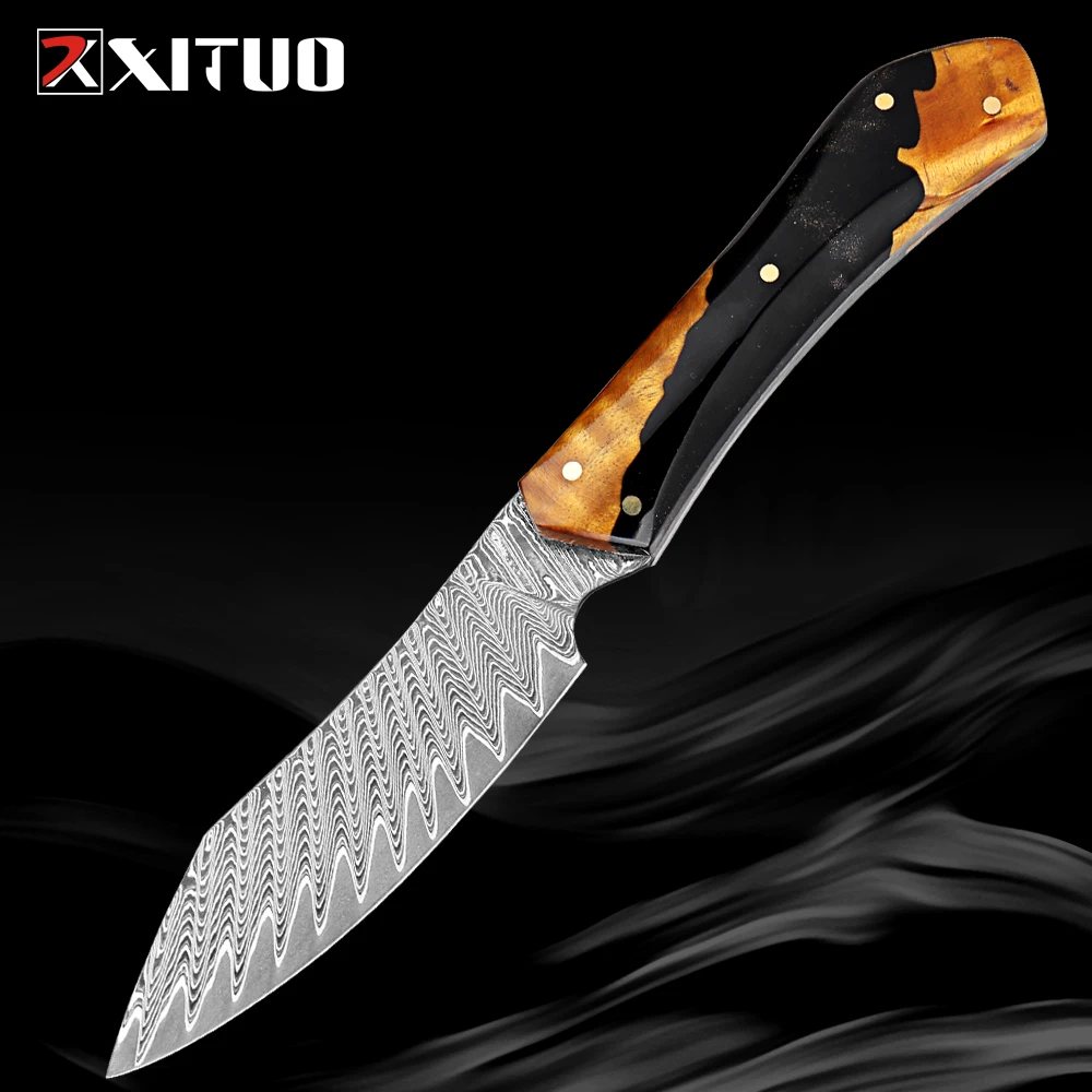 Paring Knife 3.5 Inch, Damascus Steel Japanese Knife - Sharp fruit knife for Peeling, Cutting, and Slicing Fine Ergonomic Handle