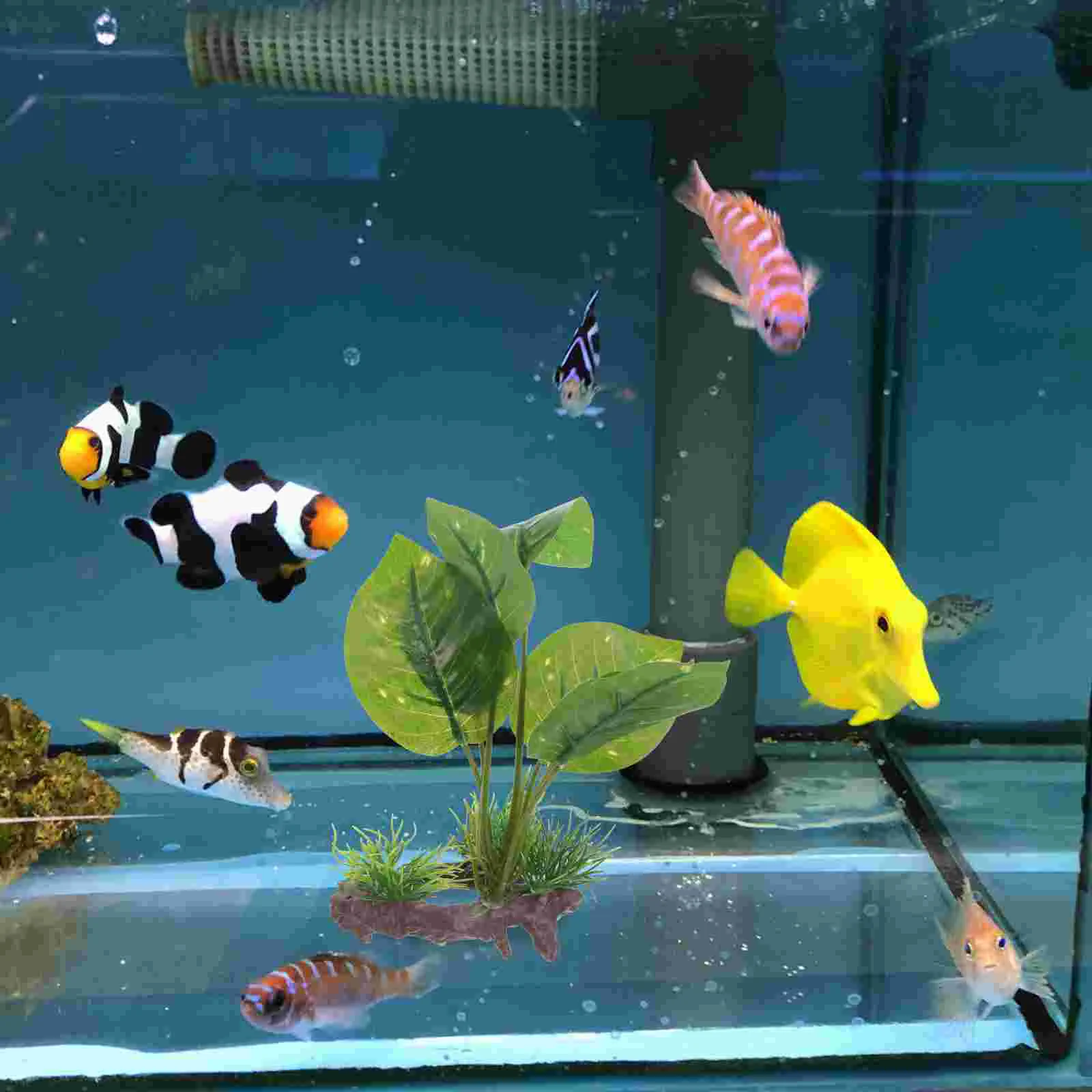 

Artificial Water Plants Tropical Landscape Fish Tank Decorations Aquarium Aquatic Heater