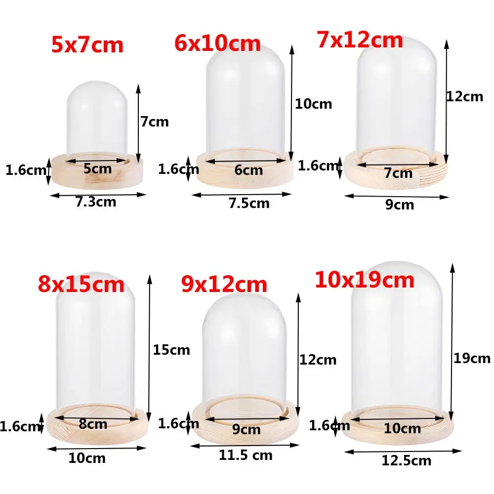 Home Decor Plants Jar Terrarium Glass Vase Dust Cover Wooden base Glass cloche Flower Storage box view 6