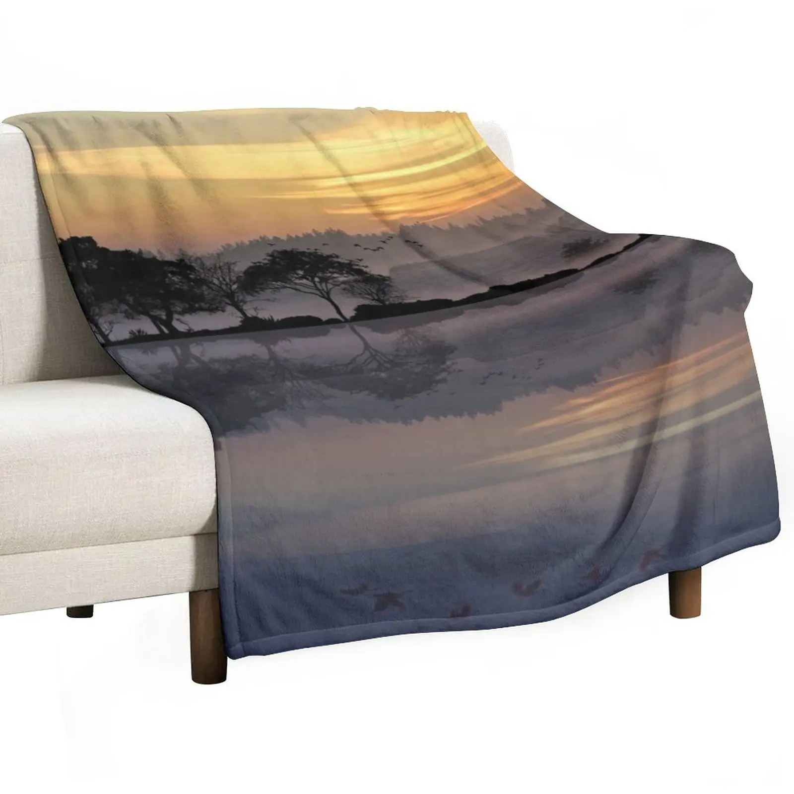 Nature Guitar Sunset Throw Blanket cosplay anime sofa bed For Sofa Thin Cute Plaid Blankets