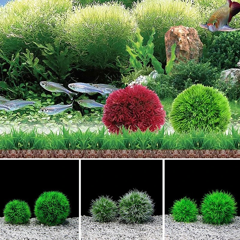 Marimo Moss Balls Live Aquarium Plant Algae Fish Shrimp Tank Ornament Simulation Green Algae Balls Artificial Plant