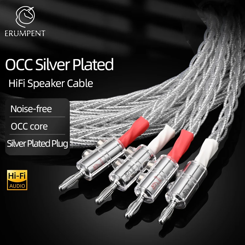 

ERUMPENT HiFi Speaker Cable Hi-end OCC Speaker Cable for Car Audio Home Theater Audio Wire Connecting Cable