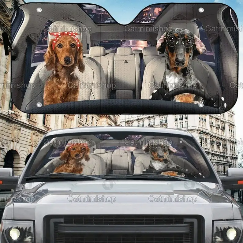 

Dachshund Car Sun Shade, Dachshund Auto Sun Shade, Dachshund Car Accessory, Funny Dachshund Sun Shade, Sunshade, Car Windshield