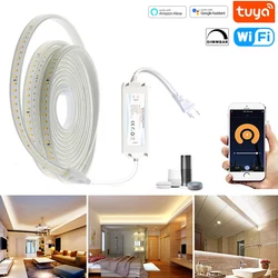 220V Tuya Smart life Controller Dimmer SMD2835 120leds/m White Color LED Strip Lights Outdoor Flexible Light for Alexa Google