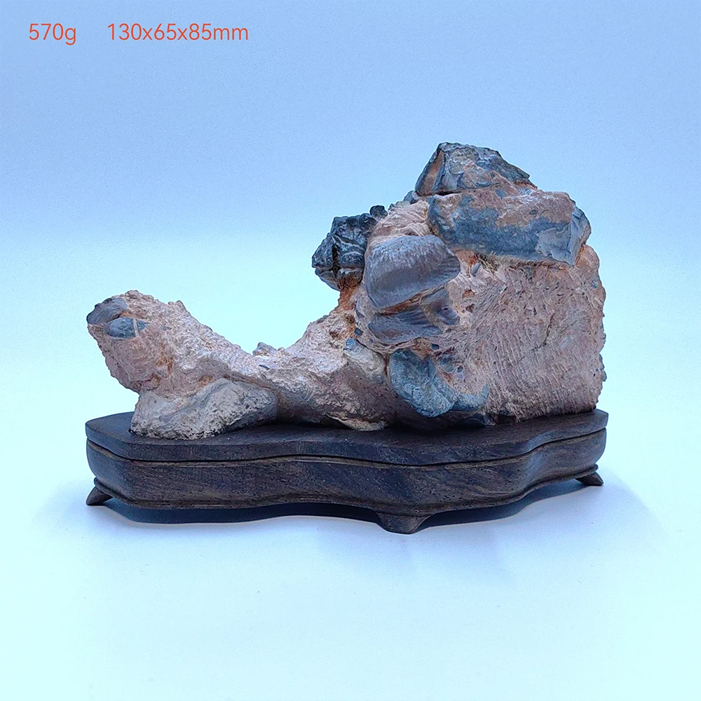 Suiseki Stone Natural Stone Landscape Stone Men Gift Asian Natural Stones Home Decorations Rock Reiki Cadeau Homme 수석