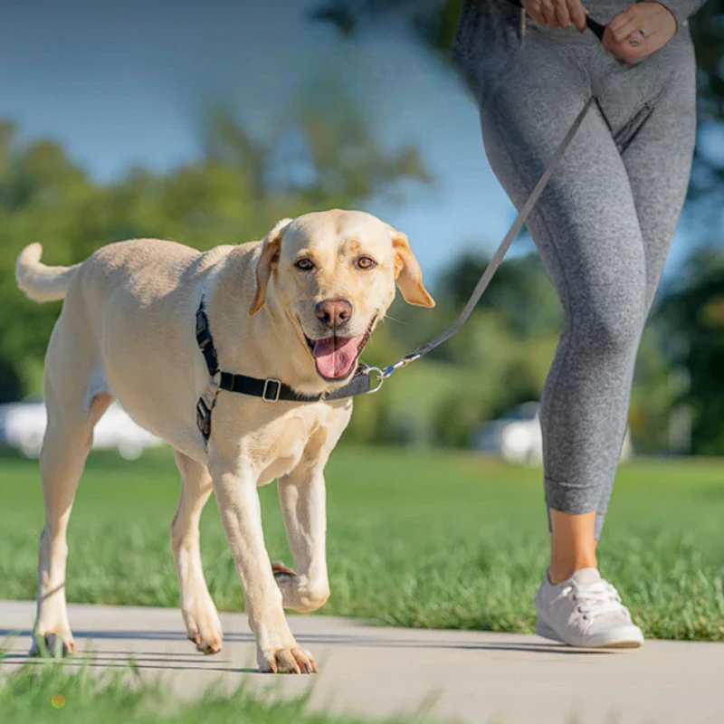 Adjustable No Pull Dog Harness Vest Easy Walking Quick Release Leash Training for Large Medium Dogs