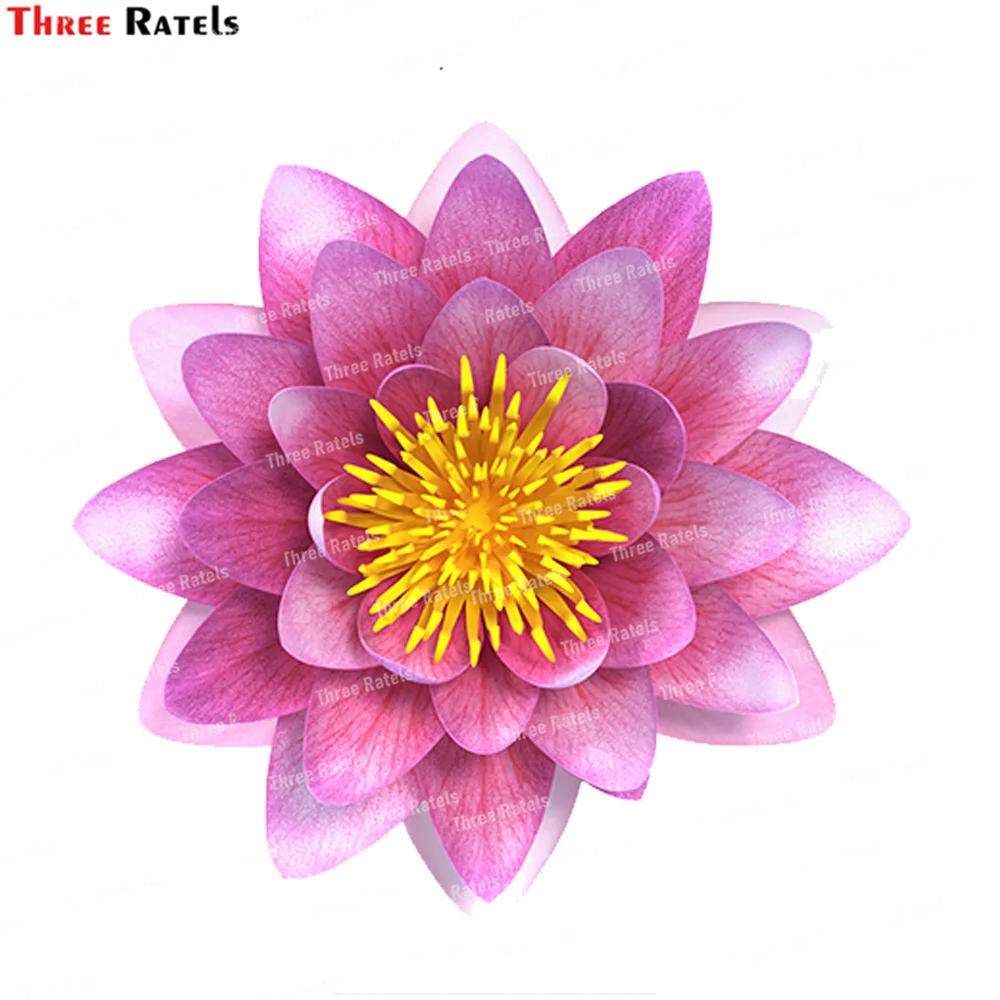 

Three Ratels K558 Nymphaea Siam Purple With Leave Wall Stickers Home Decor Living Room Sofa Decoration self-adhesive Decals