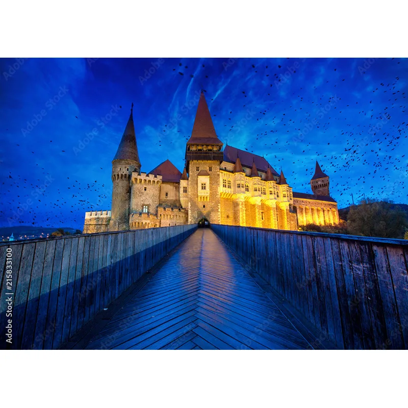 Fondo de paisaje Natural para fotografía, paisaje de viaje, castillo, accesorios de estudio, 211226 CB-03