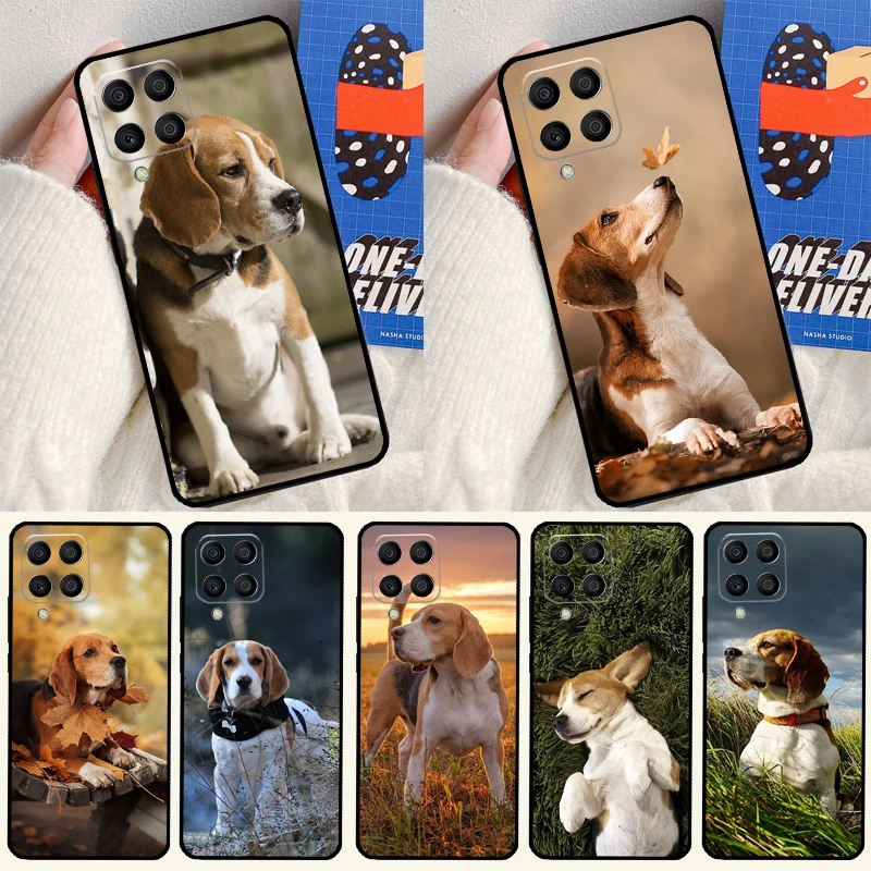 Cute Beagle Dog For…