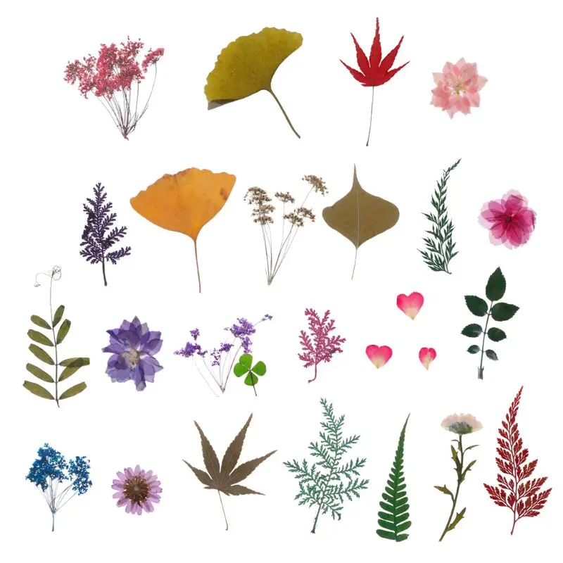 Mix Pressed Flower Leaves Plant Fillers Natural Dried Leaves for Epoxy Resin Jewelry Making Scrapbooking