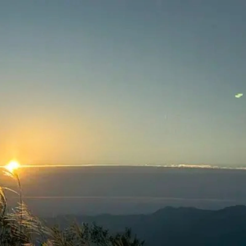 

GEPRC ELRS DUAL 915M Diversity Receiver 915Mhz ExpressLRS Module Built-in WIFI RC Airplane FPV Long Range Drone DIY Part