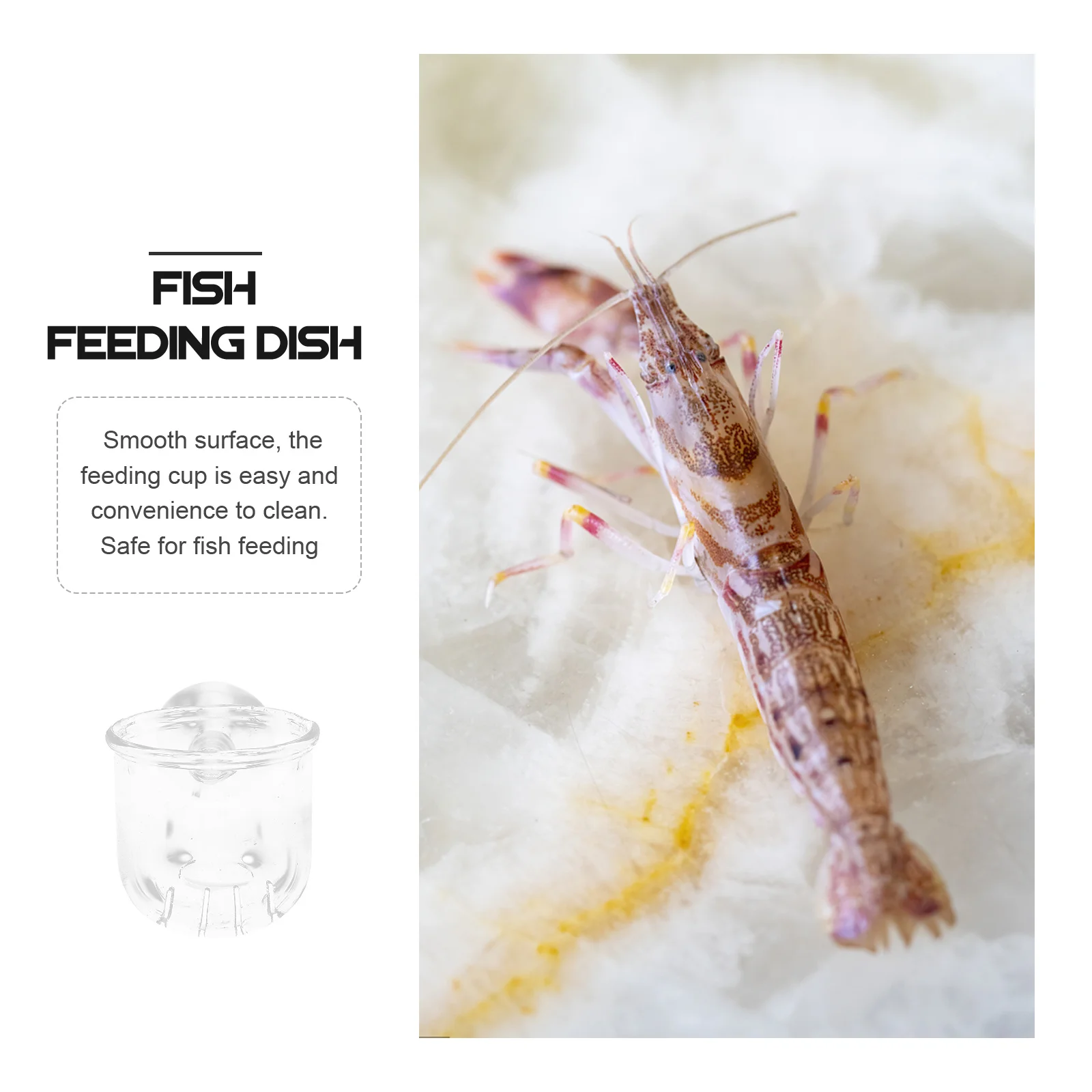 

2Pcs Clear Aquarium Feeding Cup Glass Fish Feeder Bowl for Reptiles Food Storage Transparent Fish Tank Feeding Dish Shrimp