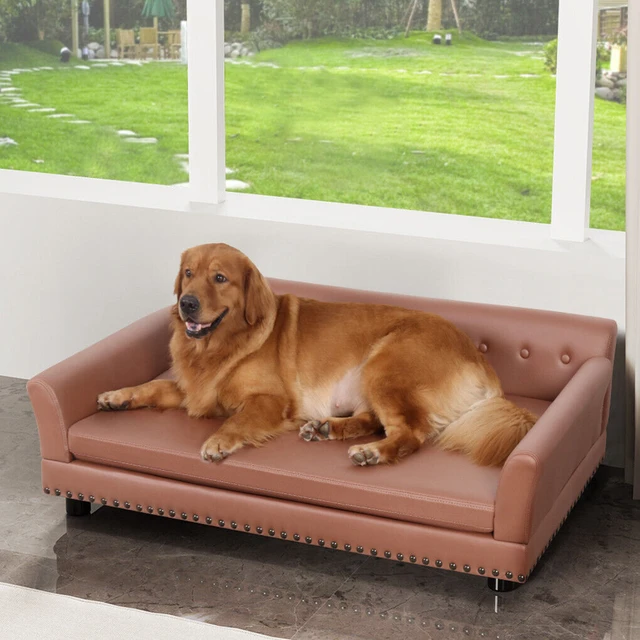 Leather dog sofa hotsell