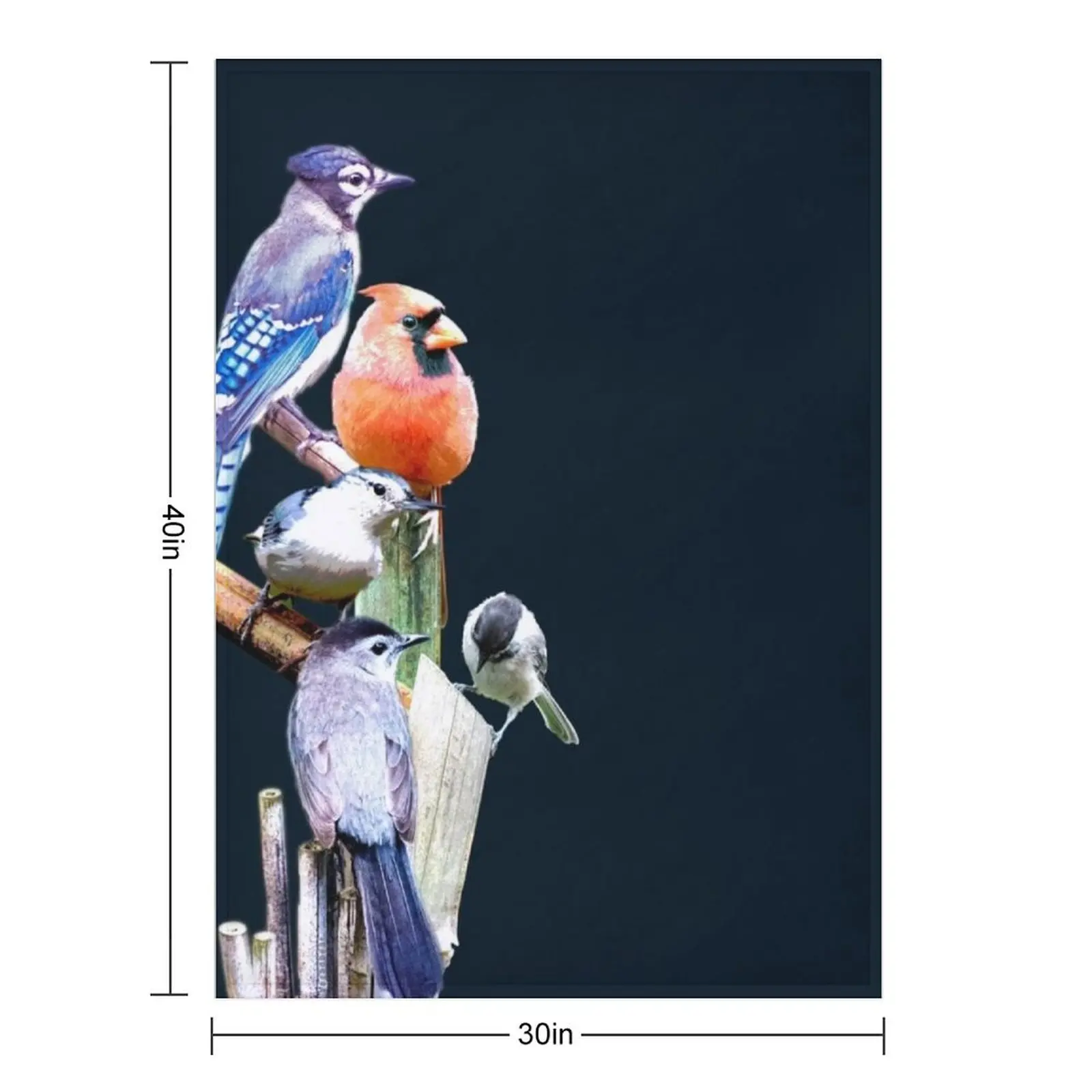 Feathered Friends Throw Blanket Warm Furrys Bed Fashionable decorative Beautifuls Vintage Blankets