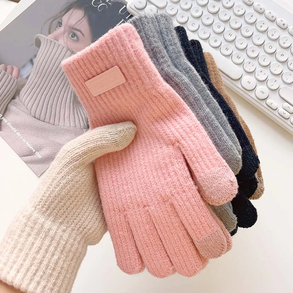 Winter Warm Knitted Full Finger Gloves Women Imitation Cashmere Thick Plush Touchscreen Mittens Outdoor Cycling Driving Gloves