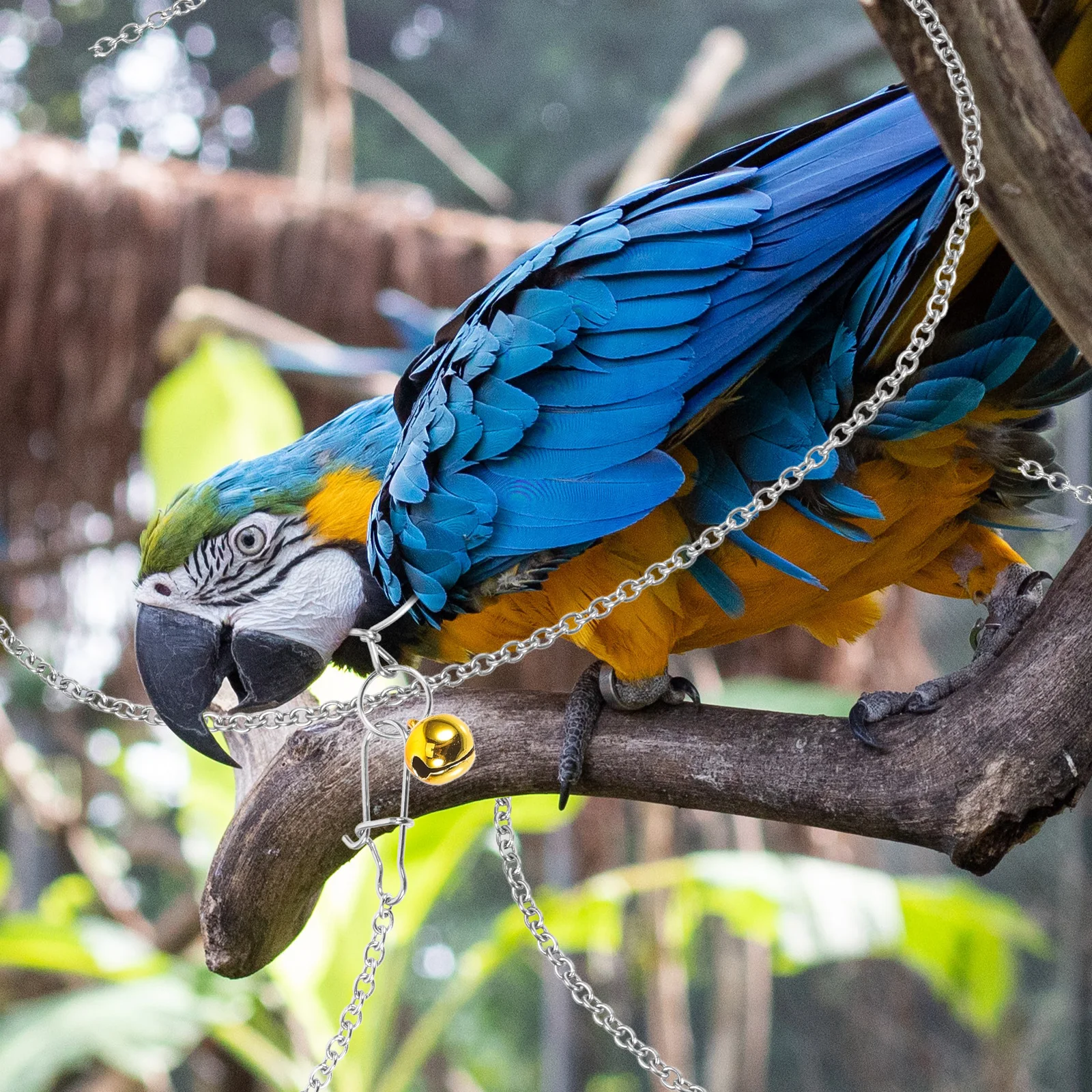 

Stainless Steel Parrot Neck Cover 30cm Chain Small Bell Bird Training Leash Harness Collar Flying Pet Accessories Practical