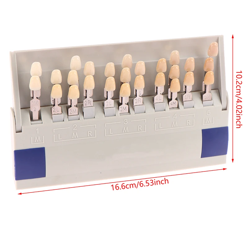 Dental Lab Teeth Guide Denture 3D Master 29 Color Shades Toothguide Dental laboratory Oral Equipment