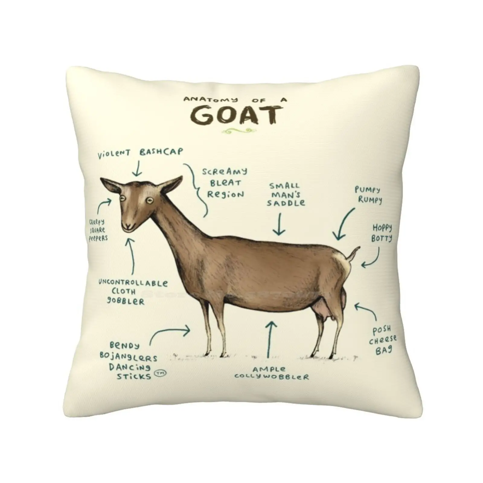 Anatomy Of A Goat Fashion Sofa Throw Pillow Cover Pillowcase Anatomy Nanny Doe Buck Dairy Goats Pygmy Udder Funny Silly Cute